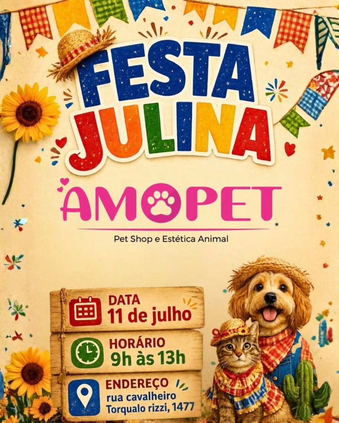 Festa Julina da Amopet