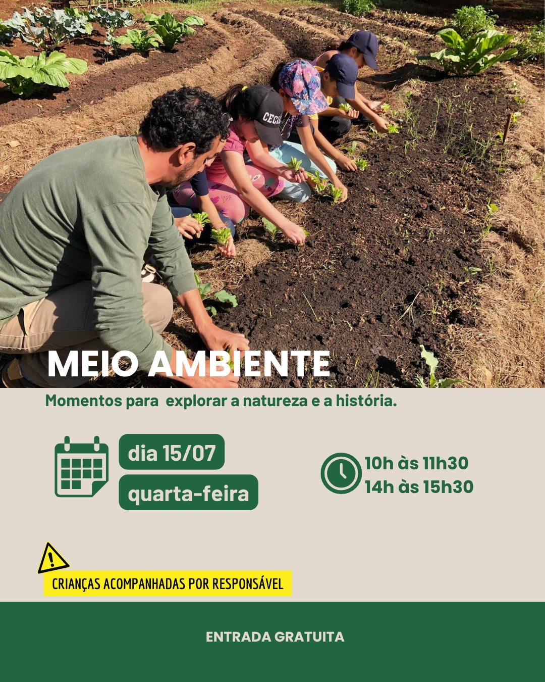 Meio Ambiente